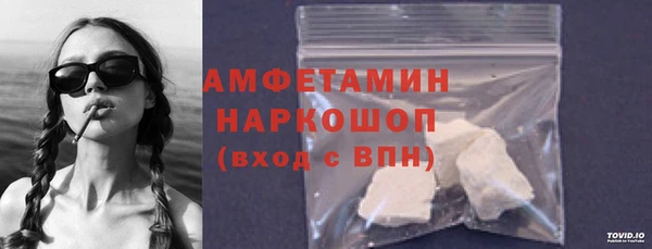 гидра Гусев