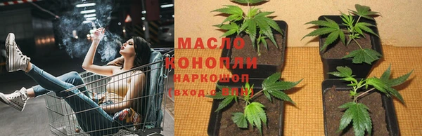 индика Гусиноозёрск