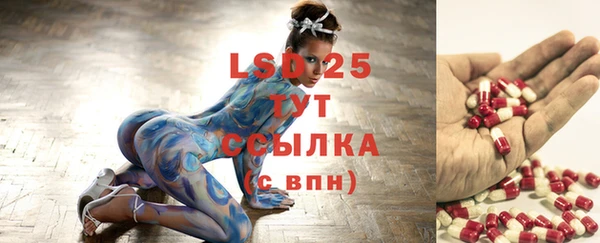 индика Гусиноозёрск