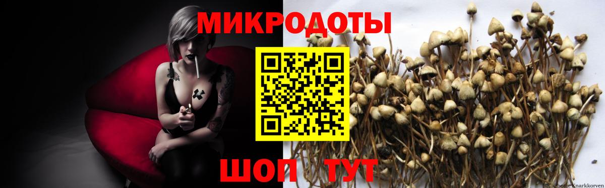 Энгельс  Псилоцибиновые грибы мухоморы  даркнет сайт  Вход с VPN 